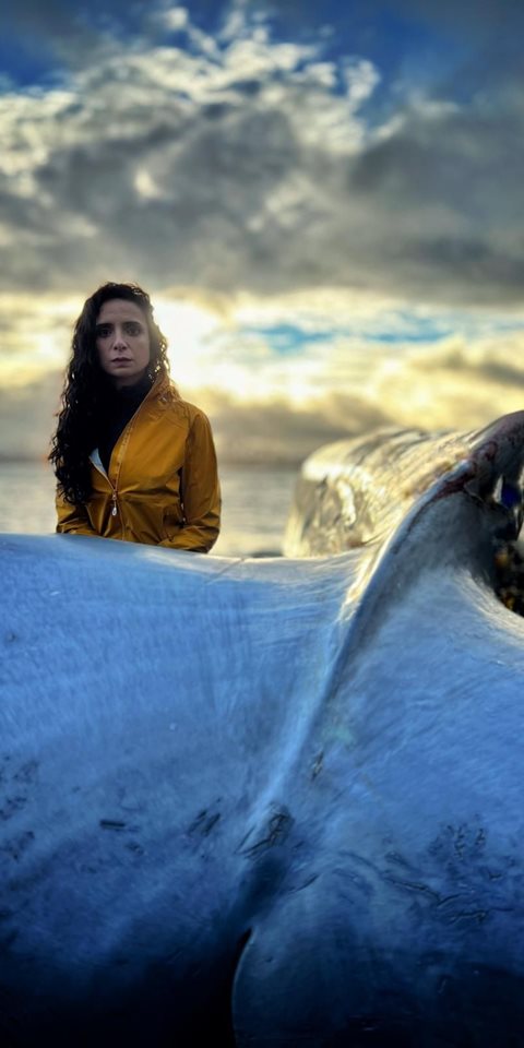 Woman standing close to a stranded whale's tail. 