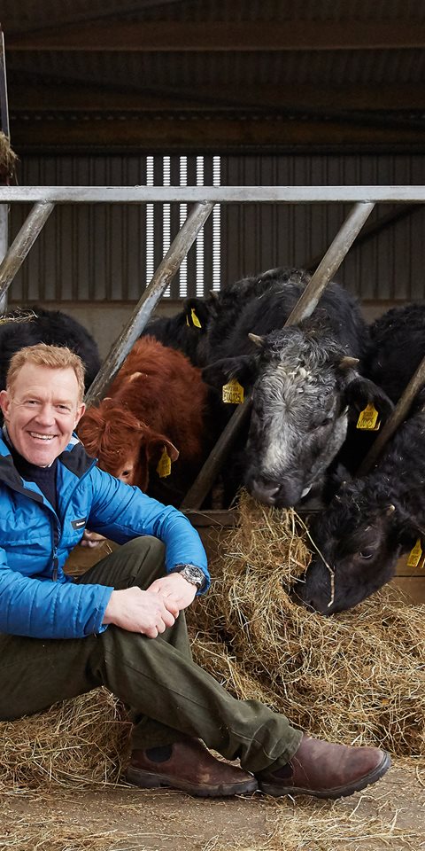 Smiling man sitting on top of hay in a barn while the cows eat behind him.